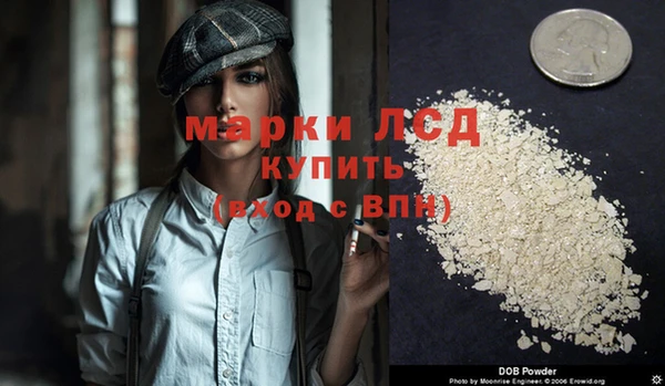 гидра Вяземский