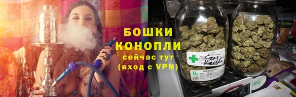 PSILOCYBIN Покачи